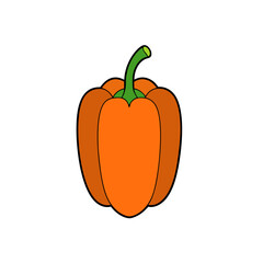 Illustration of orange pepper