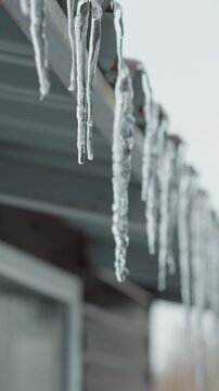 Close-up of house roof edge lined with long icicles melting and dripping water droplets, showcasing intricate frozen details and natural thawing against a soft, blurred urban background during winter