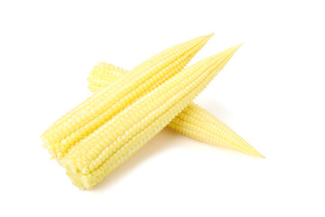 Young sweet corn  piled together reveals its freshness. isolated on white background.