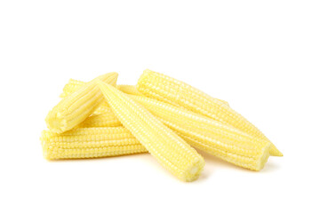 Young sweet corn  piled together reveals its freshness. isolated on white background.
