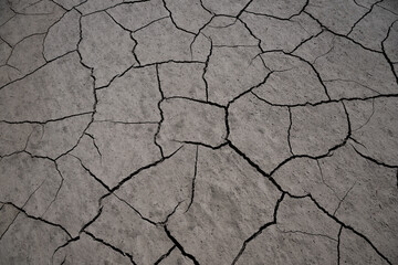 Cracked clay in the desert