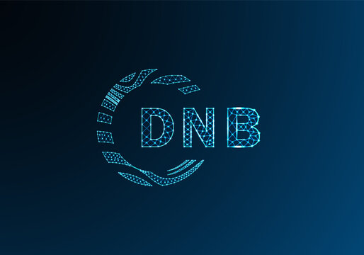 DNB low poly letter logo vector design. DNB lower poly logo design. DNB unique low poly logo design.