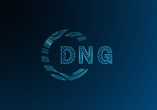 DNG low poly letter logo vector design. DNG lower poly logo design. DNG unique low poly logo design.