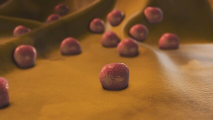 Medical Concept of Staphylococcus Aureus Bacteria