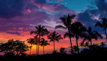 Vibrant sunset silhouettes of palm trees