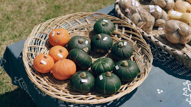Fresh Pumpkins at Japanese Farmers Market