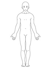 解剖学的正位　男性　正面　線画