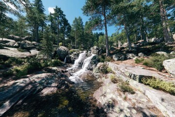 Sunny cascade tumbles over rocky terrain, nestled amongst lush pines