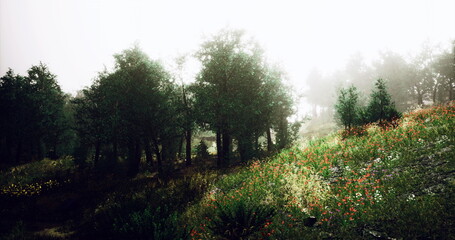 Obraz premium A tranquil morning unfolds as soft light filters through lush trees, revealing a colorful meadow adorned with wildflowers. The peaceful atmosphere invites calm and reflection.