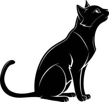 Cat Sitting Black Silhouette &ndash; Cute Pet Cat in Sitting Pose with Tail