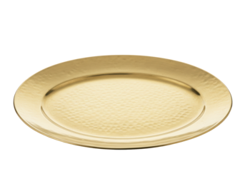 Isolated Gold Oval Plate with Textured Surface, Empty Tray, Elegant Serving Dishware