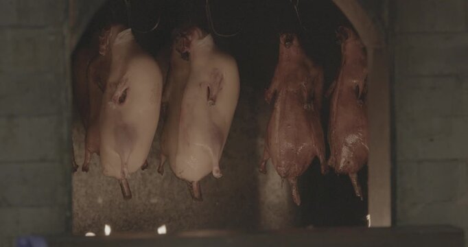 Hanging Roasted Ducks in a Traditional Cooking Setup