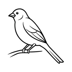 Bird perched on thin branch minimalist line art