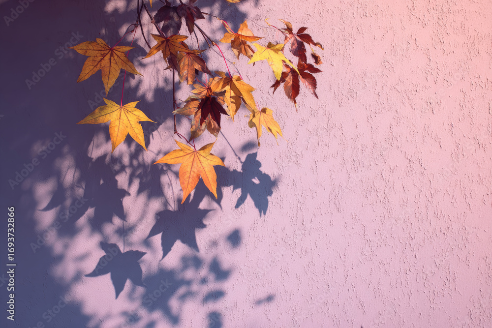 Poster autumn background with shadow of the maple tree leaves on a wall. abstract autumnal scene.