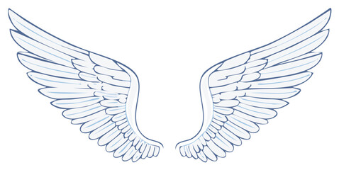 Obraz premium Stylized blue and white angel wings illustration with detailed feathers and outline