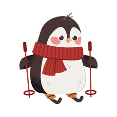 Winter penguin with red scarf on skis. Vector penguin, isolated kids character