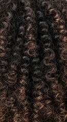 Close-up of dark, curly hair with subtle brown highlights, showcasing texture and volume.