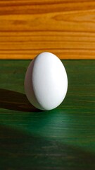 Single white egg on a colorful wooden surface