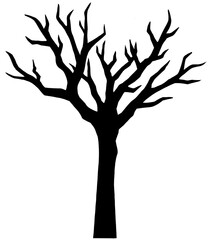 tree silhouette