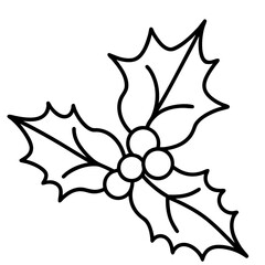 Elegant Holly Branch Vector Illustration for Festive Season Decorations and Christmas Holiday Designs a Minimalist Outline