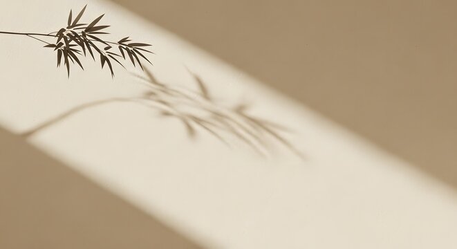 Minimalist Bamboo Branch with Natural Sunlight Shadow on a Warm Beige Background