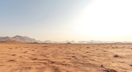 Vast Arid Desert Landscape Under a Clear Bright Sky With Distant Hills