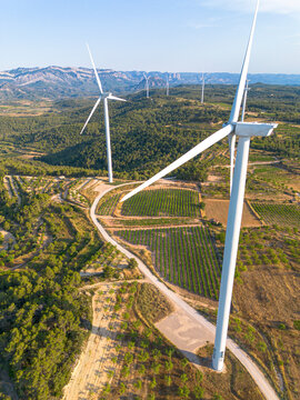 Wind turbines rising above structured vineyards in Denomination of Origin Terra Alta, Catalonia, Spain, symbolizing the union of renewable energy, viticulture, and sustainable rural landscapes