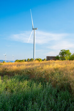 Single wind turbine among vineyards in Denomination of Origin Terra Alta, Catalonia, Spain, under a clear blue sky, representing the balance between agriculture and renewable innovation