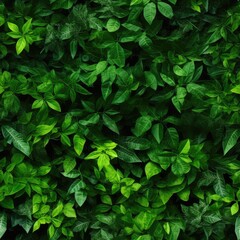 Green Lush Foliage Create Beautiful Texture Background, Natural Forest Greenery Pattern