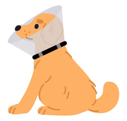 Dog is sitting in clear veterinarian collar cap. Pet is under treatment. Vet surgery clinic. Domestic animal. Veterinary hospital for puppy. Canine healthcare and medicine. Vector concept