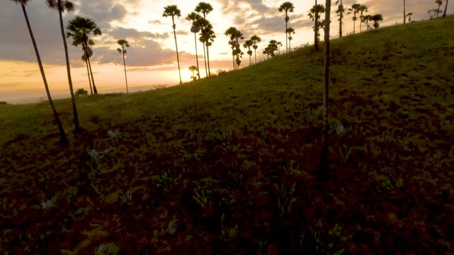 Exploring labuan bajo beach at sunset through dynamic fpv drone flight