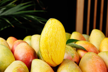 Fresh Ripe Hainan Guifei Sweetheart Mangoes - Premium Tropical Fruit Display