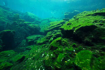 Entrance to Eden Cenote in the Yucatan Peninsula, Mexico