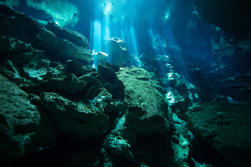 Obraz premium Sun rays piercing the water at Chikin Ha Cenote in the Yucatan Peninsula, Mexico