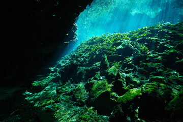 Sun rays piercing the water at Nicte Ha Cenote in the Yucatan Peninsula, Mexico