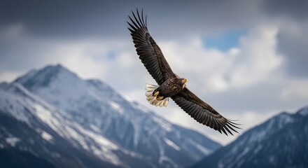 Obraz premium Majestic Eagle Soaring Above Snow-Capped Mountains Under a Cloudy Sky.