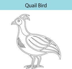 Quail Bird Outline  Stylized Black and White Wildlife Vector for Education and Design