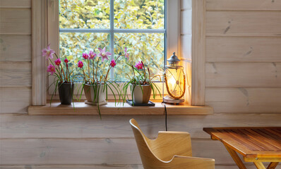 Autumn cozy interior with pink flowers on windowsill, wooden wall, warm lantern light, natural style, hygge mood, eco home, slow living lifestyle, square format, pastel tones, fall season atmosphere