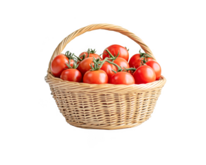 Fresh red tomatoes fill a wicker basket featuring a handle on transparent background