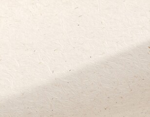 Obraz premium Light beige textured paper with shadow