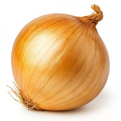 Single Brown Onion Isolated on white background
