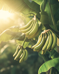 Banana is a naturally sweet and nutritious fruit, packed with essential vitamins and minerals. Great for boosting energy, supporting heart health.