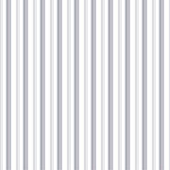 Obraz premium abstract background vector, white striped background, abstract striped background, 