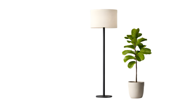 Fiddle-Leaf Fig with Floor Lamp
