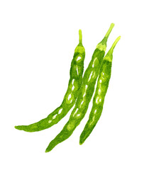 青唐辛子のセット　野菜・薬味の手描き水彩イラスト素材