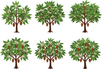 Obraz premium Cacao Trees with Pods and Flowers in Tropical Plantation, Botanical Farming Vector for Chocolate Production, Cocoa Agriculture, and Nature Education Illustration