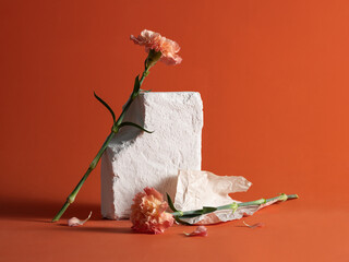 minimalist still life with Elegant carnation arrangement