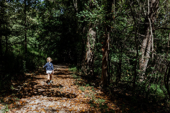 Child hiking down forest trail during early fall day