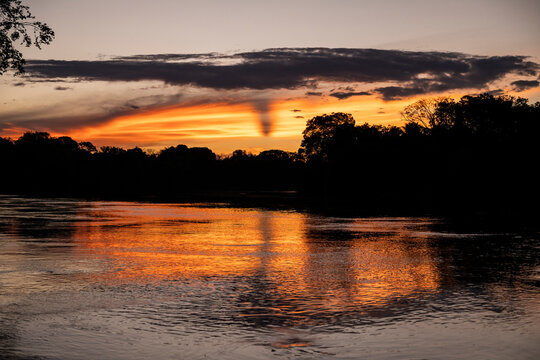 Beautiful sunset clouds in the amazon rainforest, Mamirau&aacute; Reserve