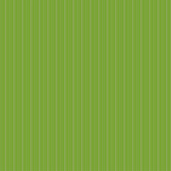 Obraz premium green stripes background, green striped background, abstract green background, 